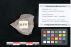 Foto (Objekt + Etikett) von Dryandra comptoniaefolia Ettingshausen (NHMW-GEO-2024-0188-10191)